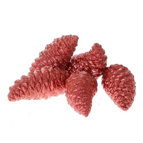 Zapfen Maritima Wachs rot 12cm 5st