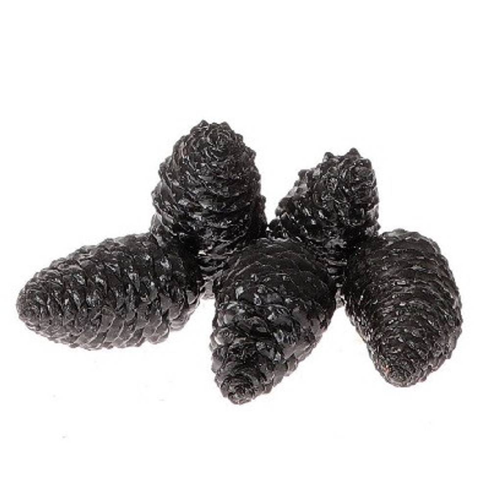 Zapfen Maritima Wachs schwarz 12cm 5st