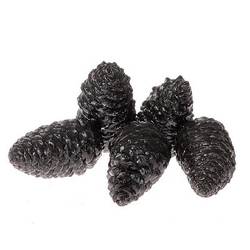 Zapfen Maritima Wachs schwarz 12cm 5st