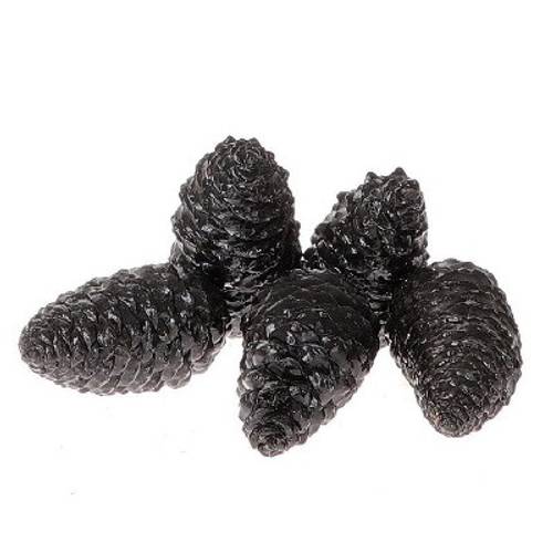 Zapfen Maritima Wachs schwarz 12cm 5st