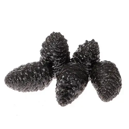 Zapfen Maritima Wachs schwarz 12cm 5st