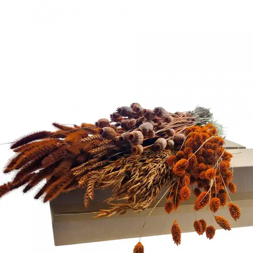 Trocken DIY Box assorti orange L65-70cm