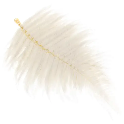 Lederfarn creme gebleicht 65cm