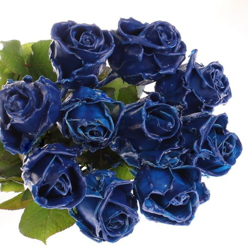 Rose blau Wachs (W5)  70cm