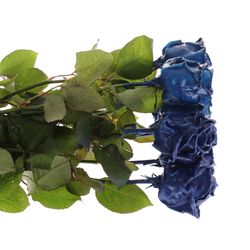 Rose blau Wachs (W5)  70cm