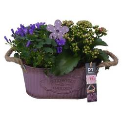 Garten.Arr PTSO6001 T24 H022