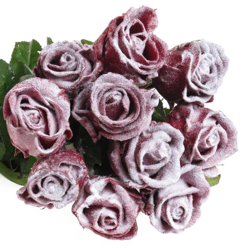 Rose weinrot Wachs Schnee 60cm