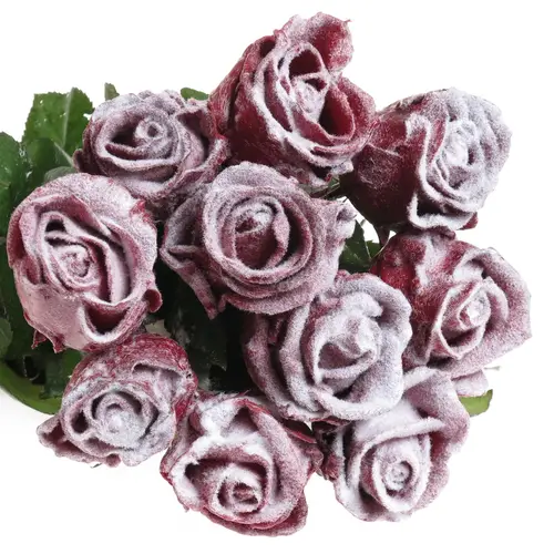 Rose weinrot Wachs Schnee 60cm