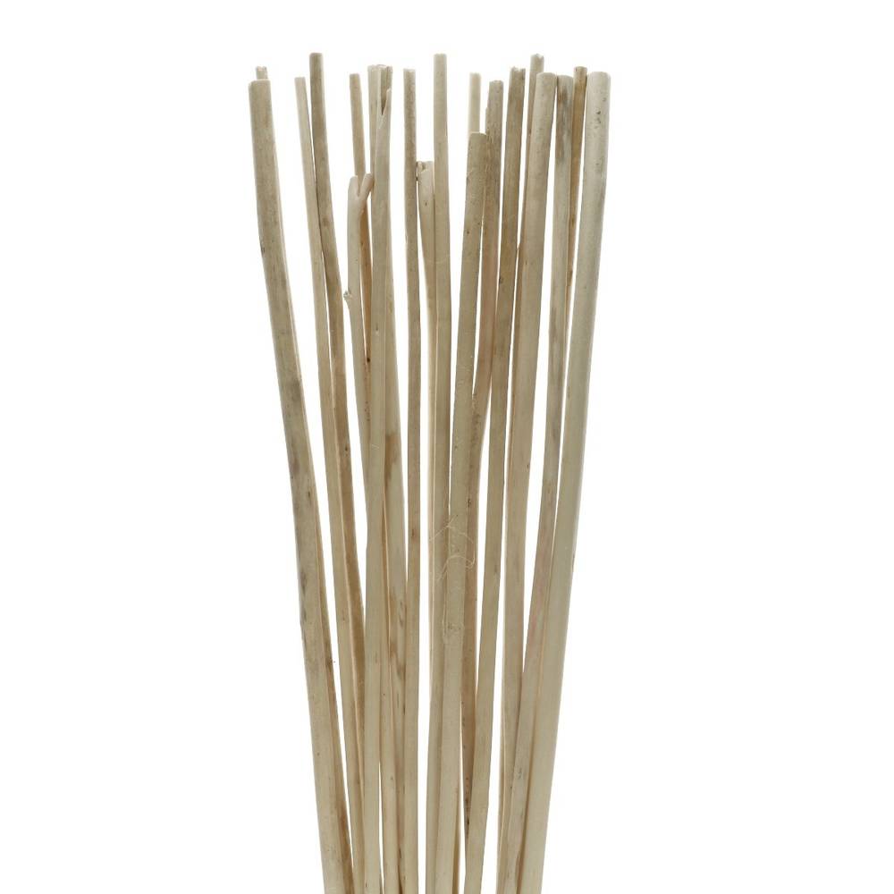Bambus Stab Natur 100cm x20 