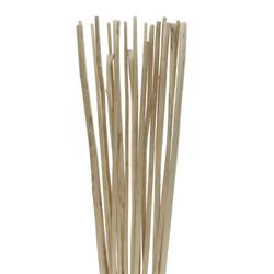 Bambus Stab Natur 100cm x20 