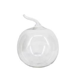 Glas Terrarium Apfel +Loch D19cm H20/24cm