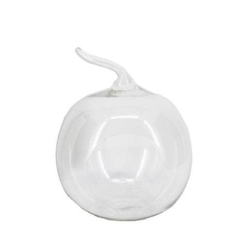 Glas Terrarium Apfel +Loch D19cm H20/24cm