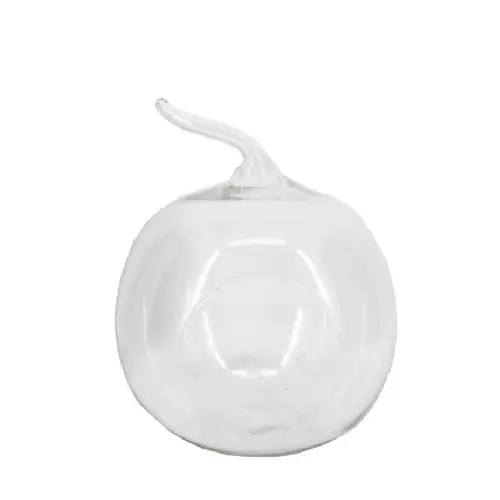 Glas Terrarium Apfel +Loch D19cm H20/24cm