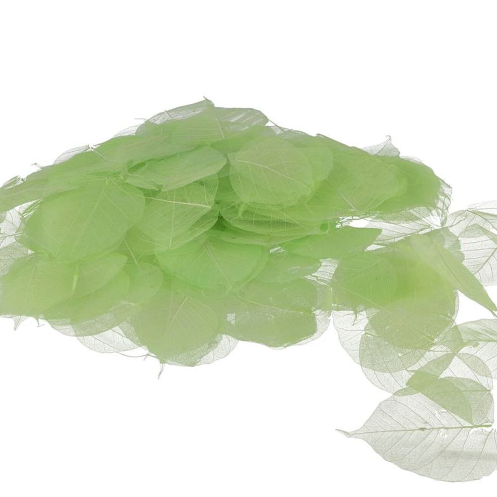 Skeleton Blätter lime x200