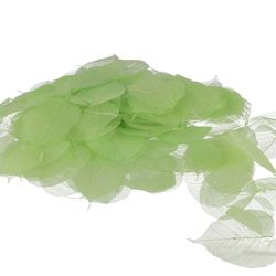 Skeleton Blätter lime x200