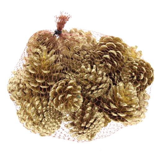 Trocken Tannenzapfen gold 500gr