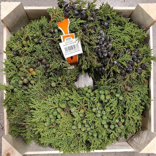 Kranz mix lila/grün Juniperus D30cm