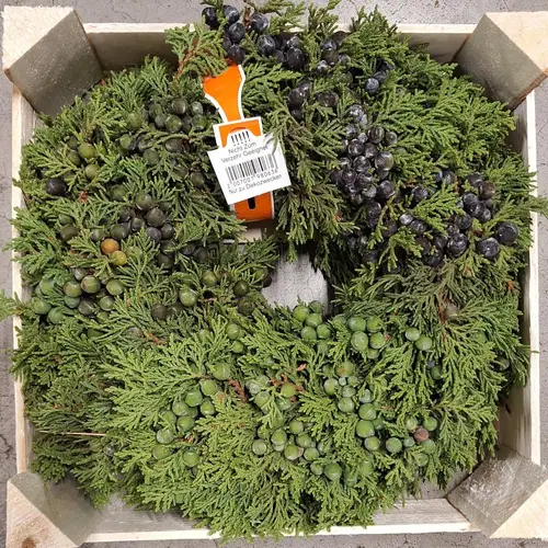 Kranz mix lila/grün Juniperus D30cm