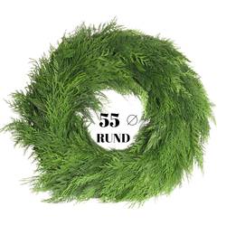 Kranz grün Thuja rund gebunden 55cm