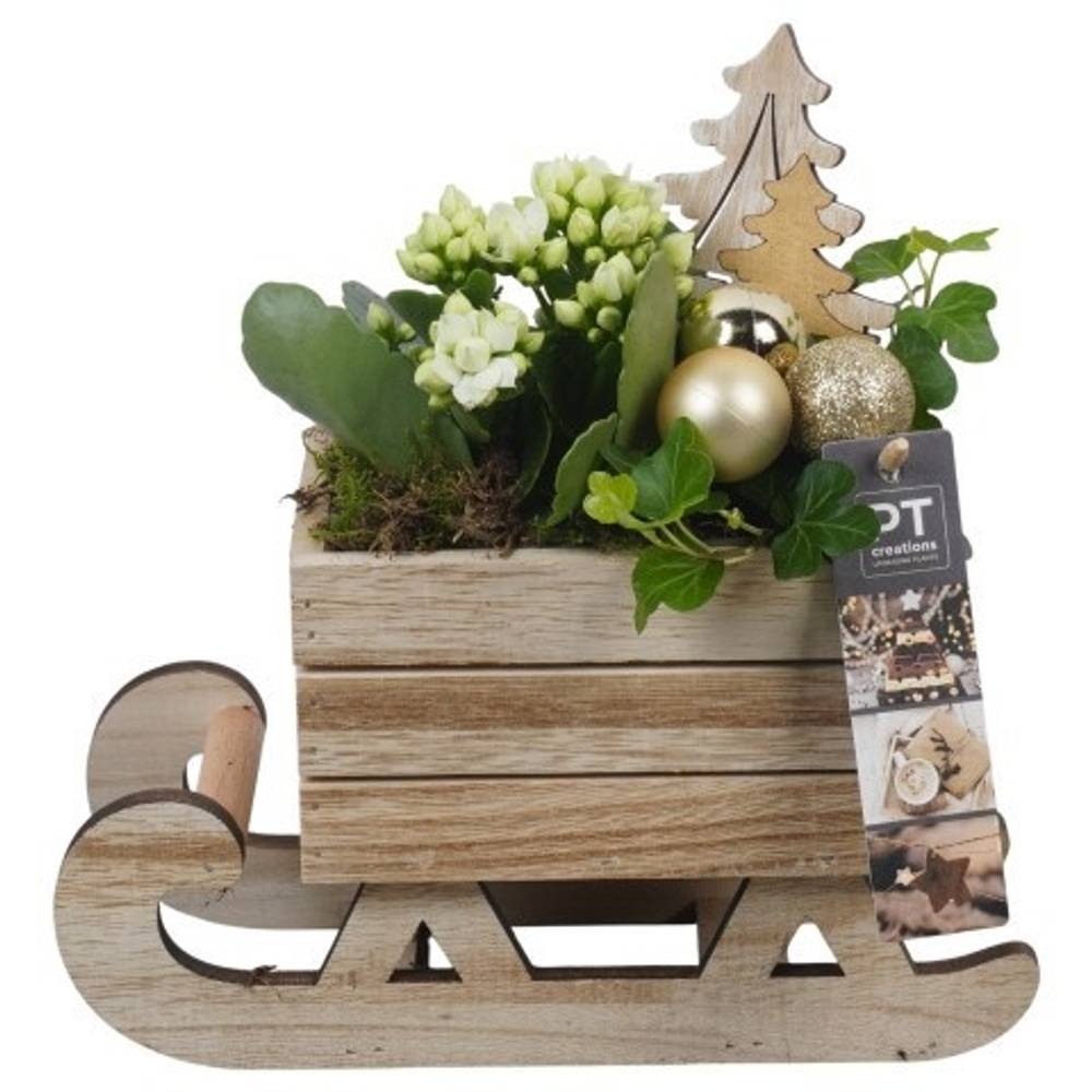 Kal.Arr PTCHG5697 Weihnachten T24 H024