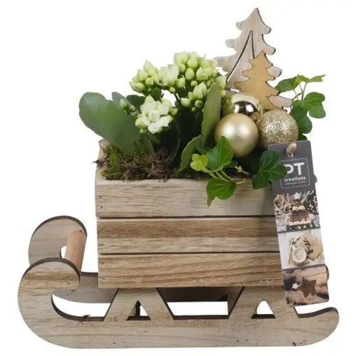 Kal.Arr PTCHG5697 Weihnachten T24 H024