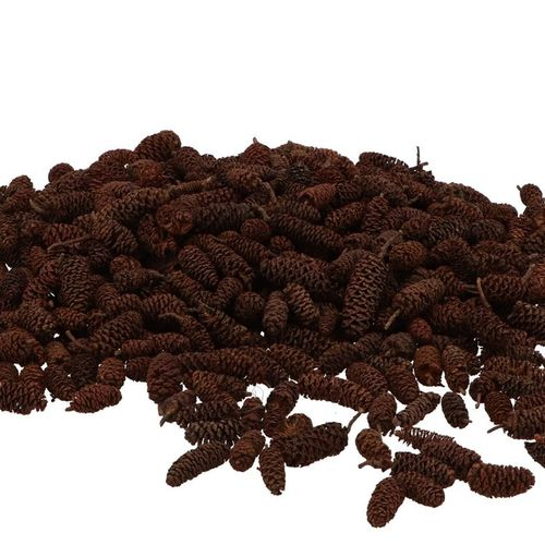 Trocken Birke Kiefer 500gr