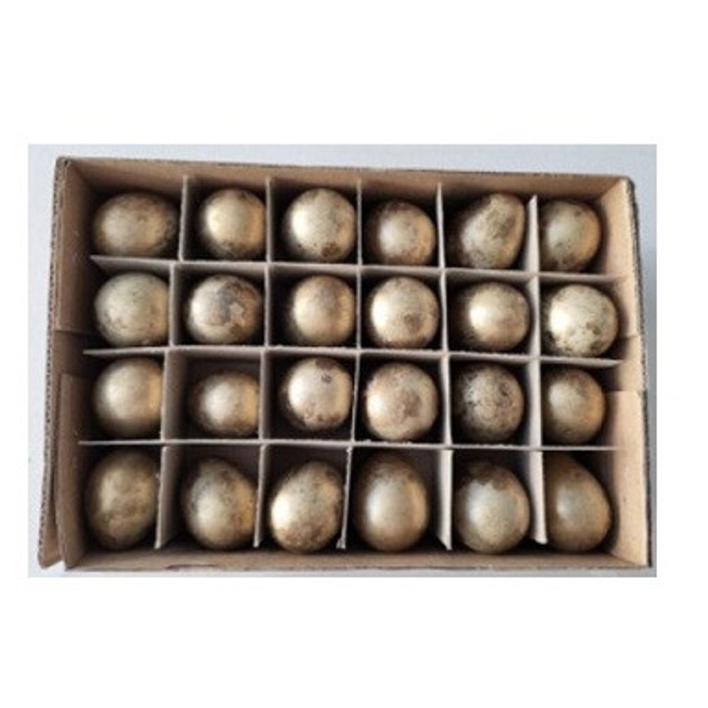 Wachtelei  d2*3cm x24