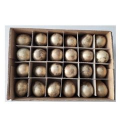 Wachtelei  d2*3cm x24