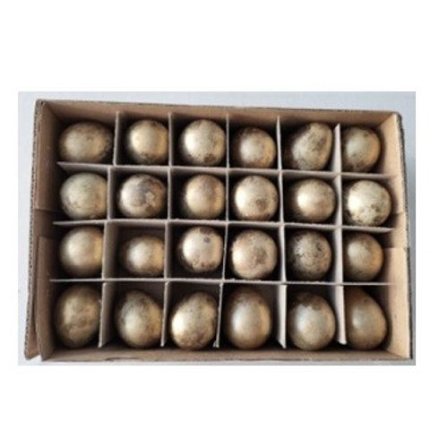 Wachtelei  d2*3cm x24