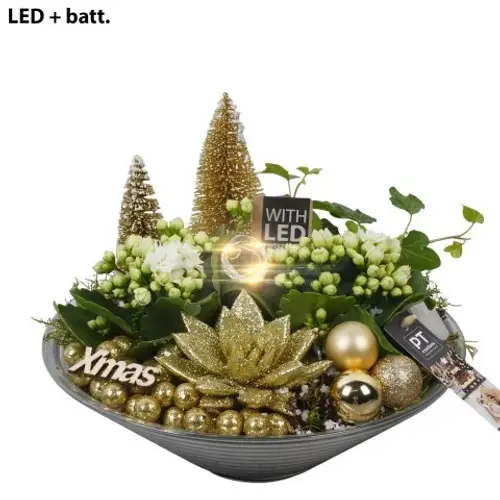 Kal.Arr PTCHG5721 Weihnachten T26 H023