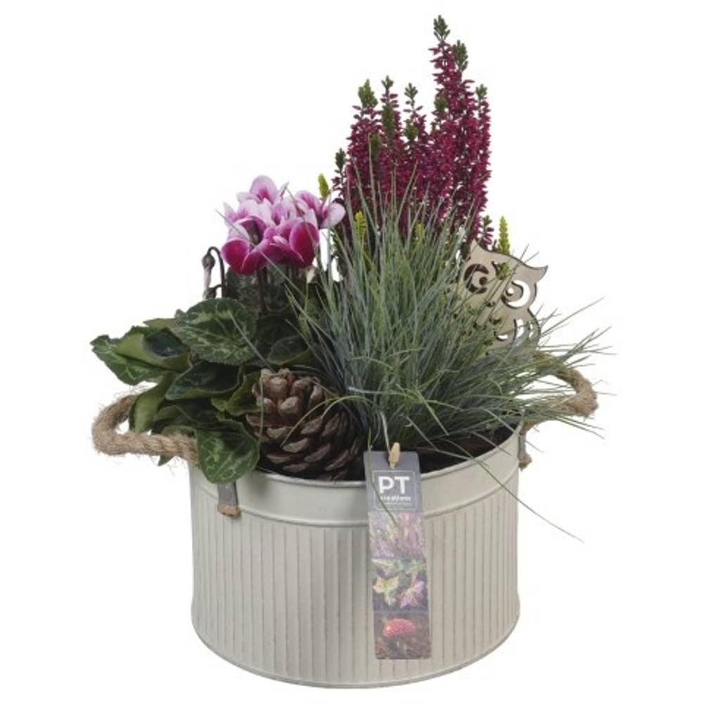 Garten.Arr PTHO4100 Herbst T21 H035