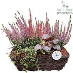 Garten.Arr SRM006 Herbst T34 H035