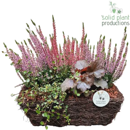 Garten.Arr SRM006 Herbst T34 H035