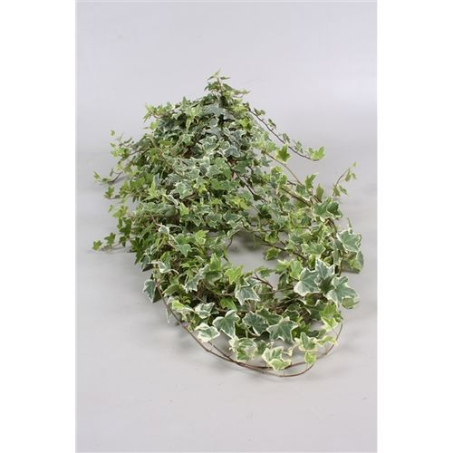 Efeu Ranke Bunt 90 cm+ T13