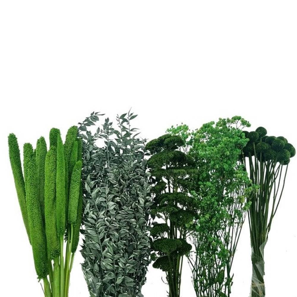 Trocken DIY Box assorti grün L60-70cm 