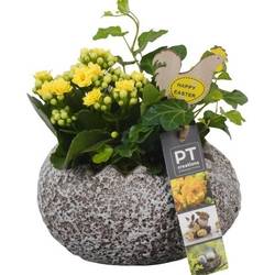 Kal.Arr PTPB6614 Ostern T16 H018