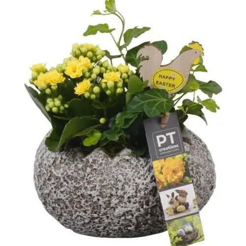 Kal.Arr PTPB6614 Ostern T16 H018