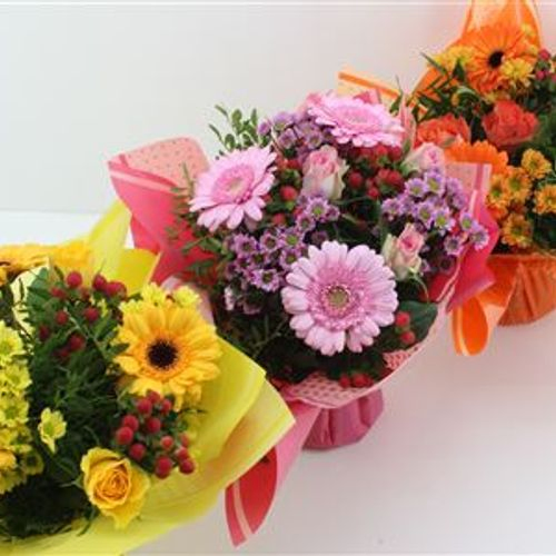 Strauß mix Bulle 15 Stiele 30cm