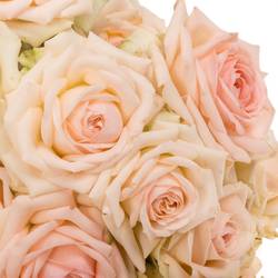 Rose verzweigt creme/rosa Happy Wedding 4+Blüte 40cm