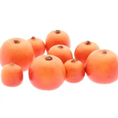 Apfel Malus orange mix x9 