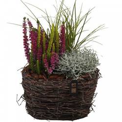 Garten.Arr PTHO7642 Herbst T25 H040