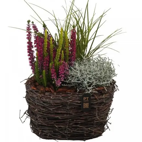 Garten.Arr PTHO7642 Herbst T25 H040