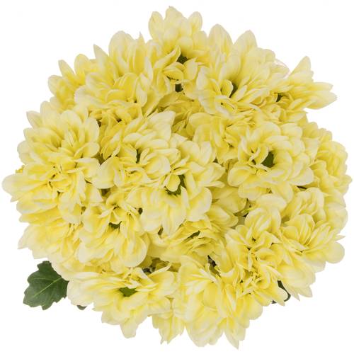 Chrys.Tros creme Resq Cream 85 Gramm 70cm