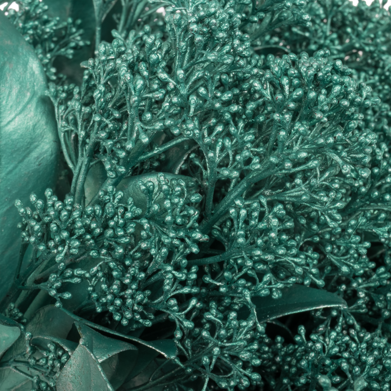 Skimmia türkis emerald vip gefärbt 45cm