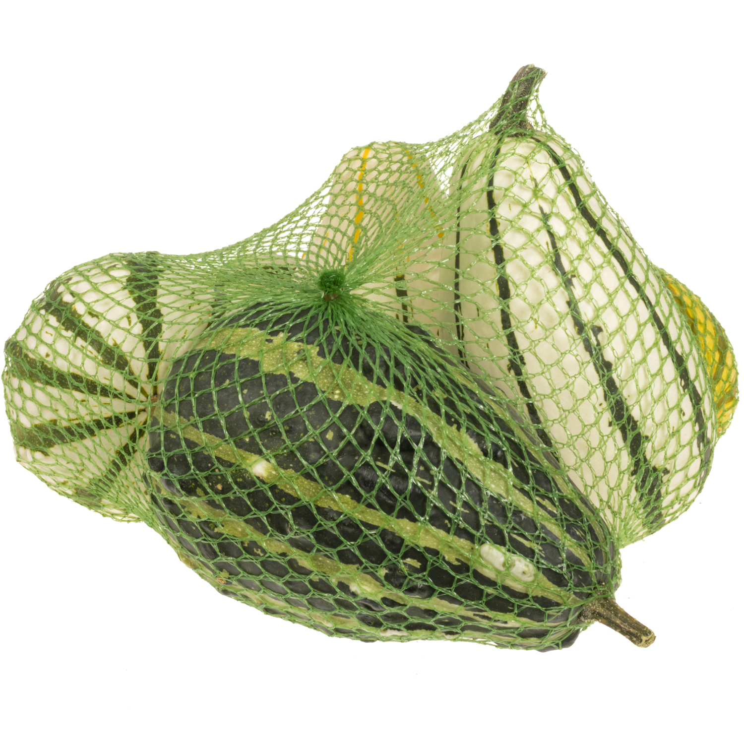 Zierkürbis mix Birne Im Netz X6