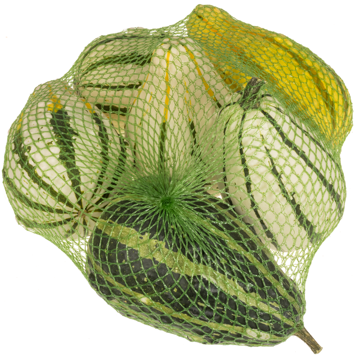 Zierkürbis mix Birne Im Netz X6