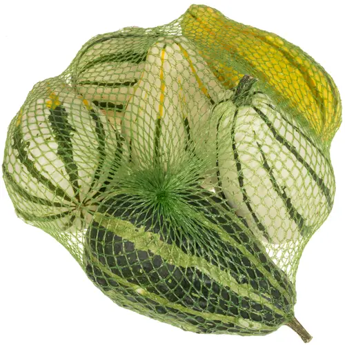 Zierkürbis mix Birne Im Netz X6