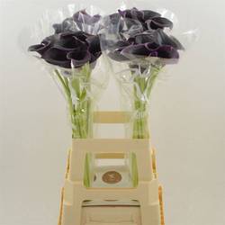 Calla schwarz Cantor 80cm