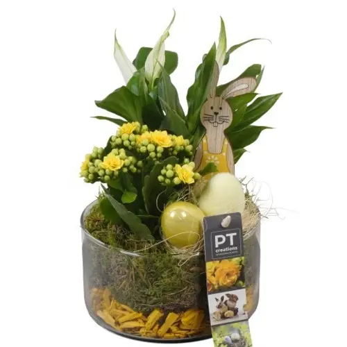 Spath.Arr PTPG9324 Ostern T14 H025