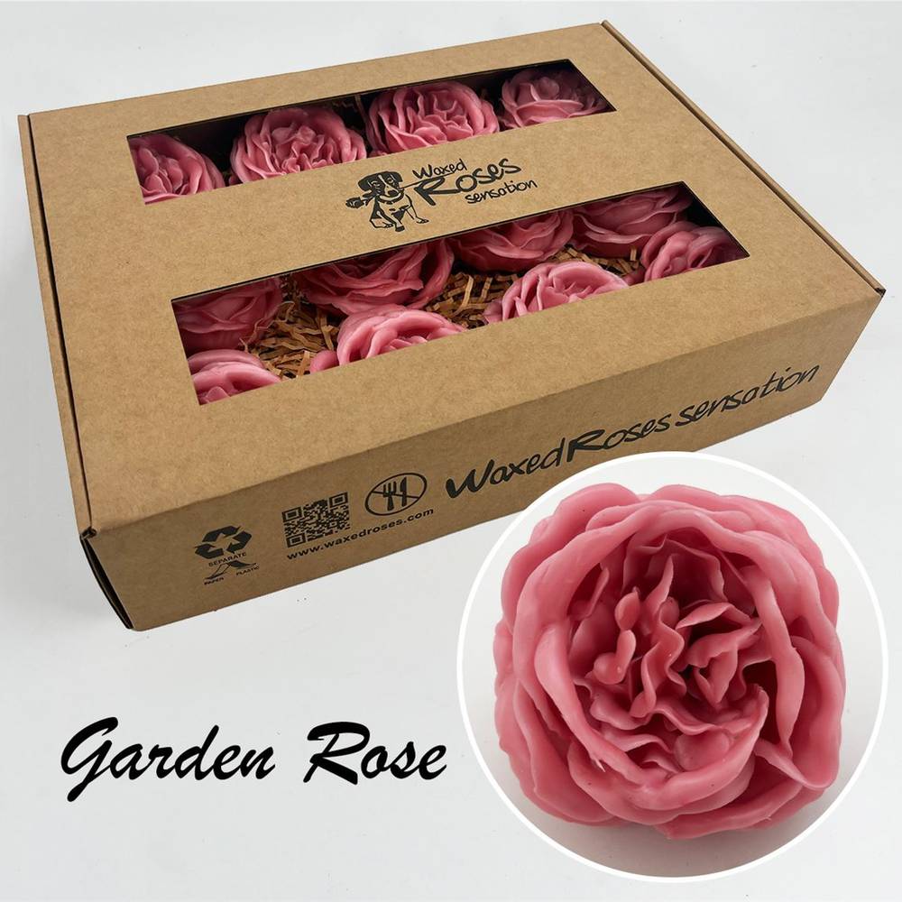 Seiden Wachs Gartenrose alt rosa